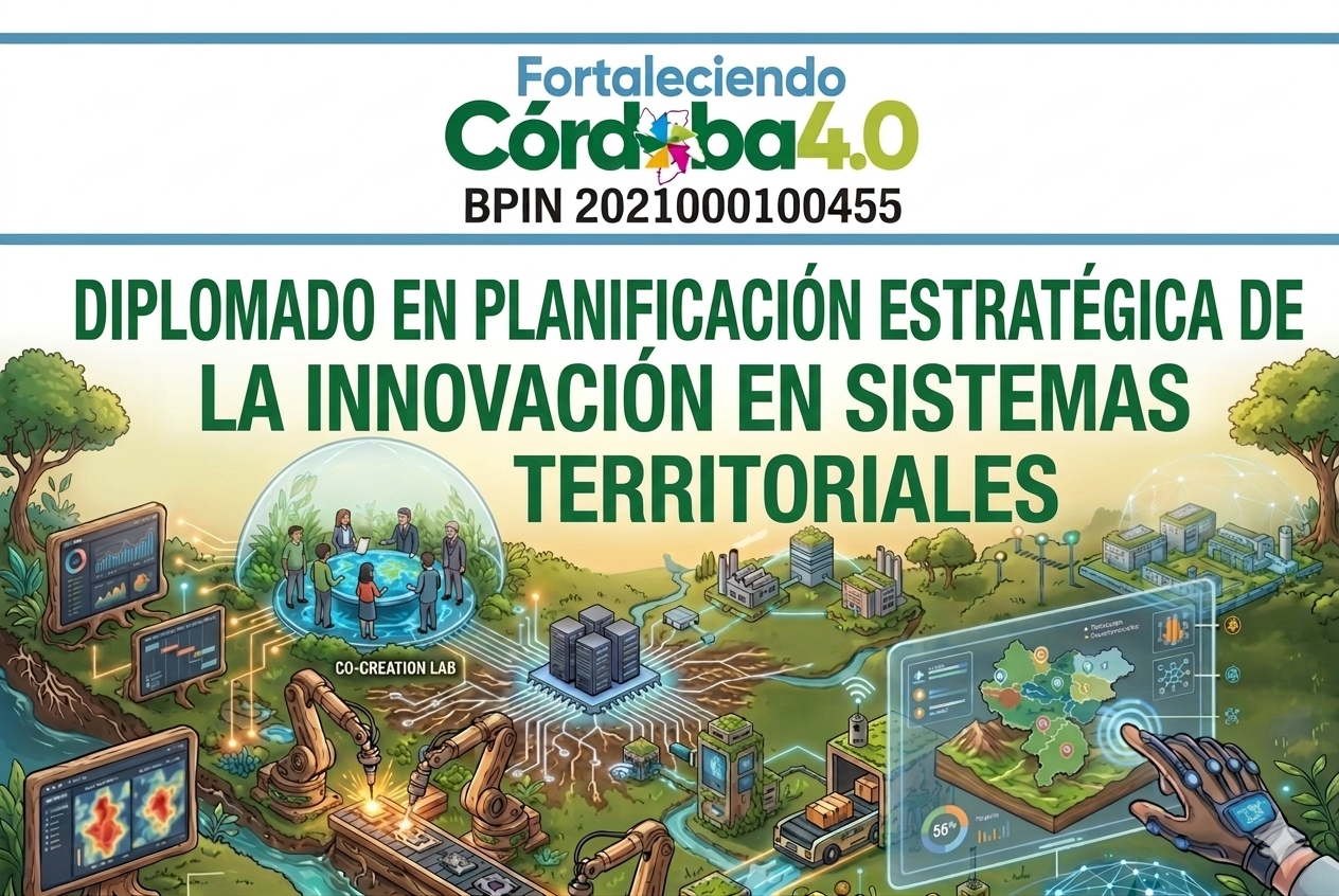 Diplomado: Planificacion estratégica de la innovación en sistemas territoriales