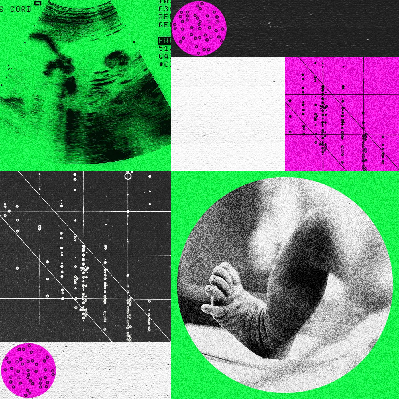 Las empresas de bebés diseñados genéticamente están en crisis