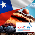 Becas del 100 % para curso corto internacional virtual en el Programa de Capacitación en Geología de Suelos para Ingenieros no Especialistas – AGCID/Universidad de Chile